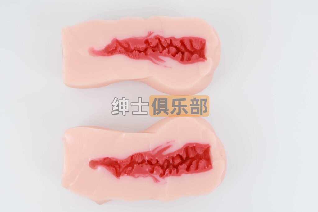 欲月之吻通道结构示意图:圆锥形收缩通道+牙形肉块内部构造图