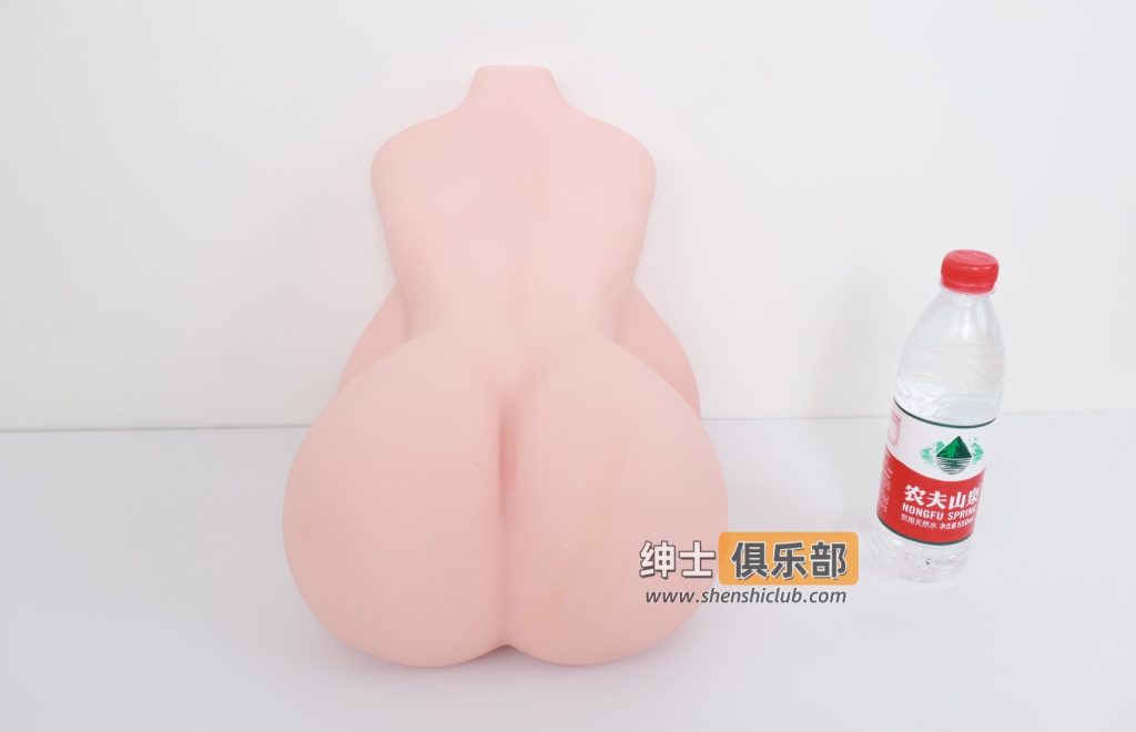 背部造型与臀部结构